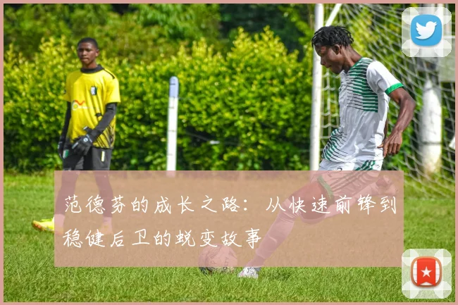 范德芬的成长之路：从快速前锋到稳健后卫的蜕变故事